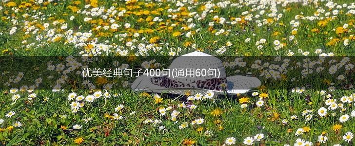 优美经典句子400句(通用60句),第1张