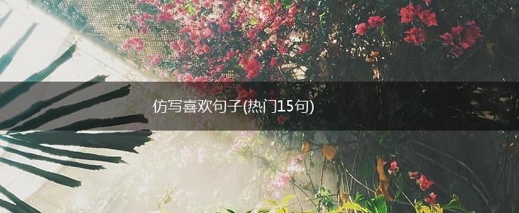 仿写喜欢句子(热门15句),第1张