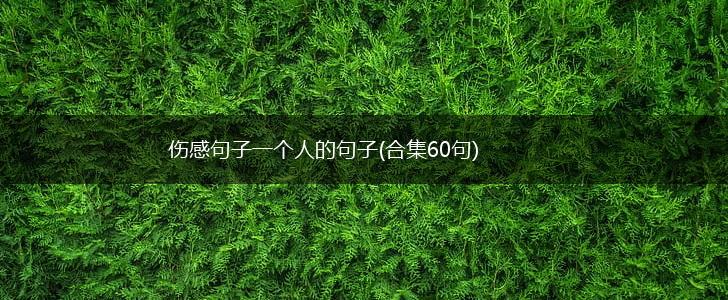 伤感句子一个人的句子(合集60句),第1张