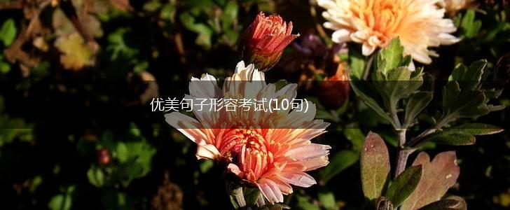 优美句子形容考试(10句),第1张