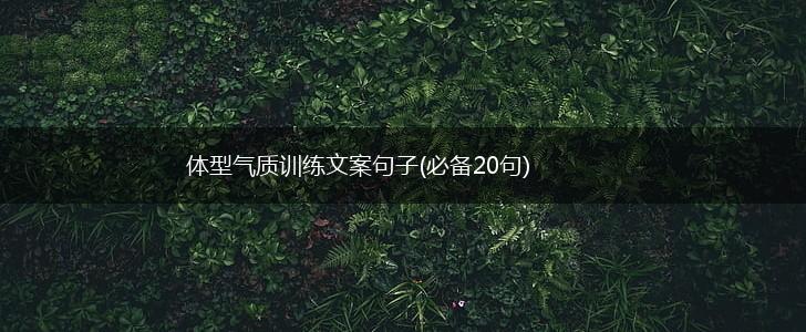 体型气质训练文案句子(必备20句),第1张
