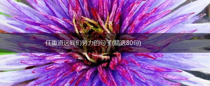 任重道远我们努力的句子(精选80句),第1张