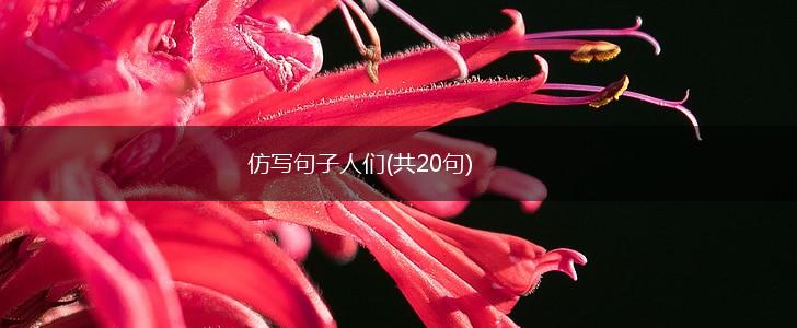 仿写句子人们(共20句),第1张