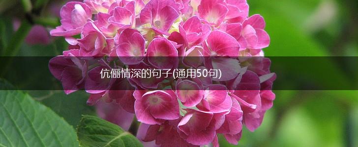 伉俪情深的句子(通用50句),第1张