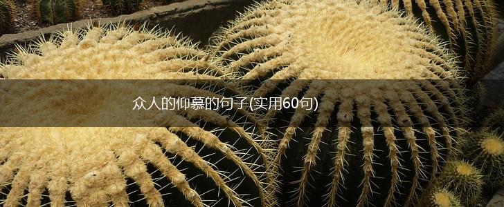 众人的仰慕的句子(实用60句),第1张