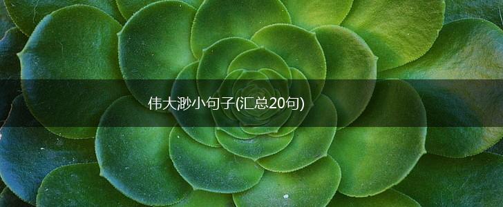 伟大渺小句子(汇总20句),第1张
