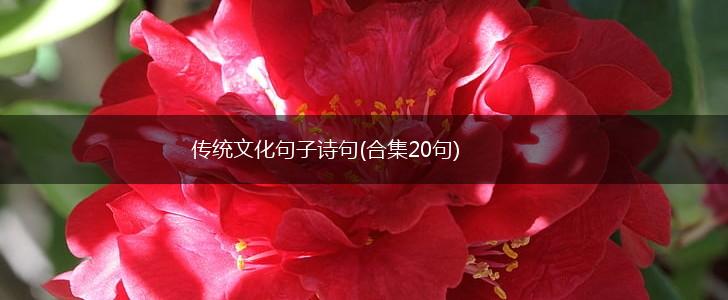 传统文化句子诗句(合集20句),第1张