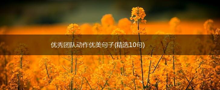 优秀团队动作优美句子(精选10句),第1张