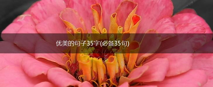 优美的句子35字(必备35句),第1张