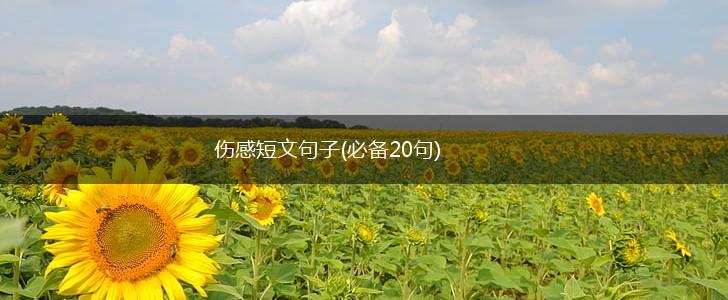 伤感短文句子(必备20句),第1张