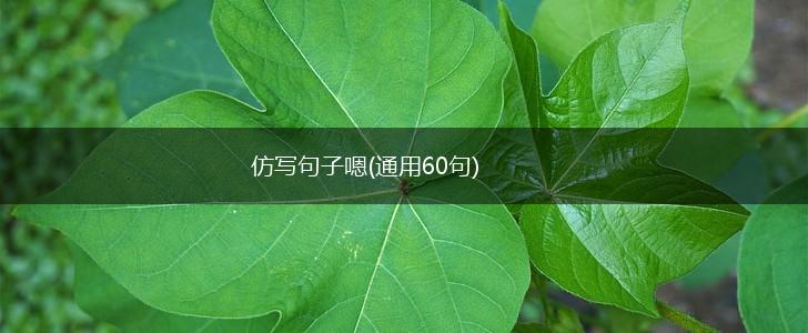 仿写句子嗯(通用60句),第1张