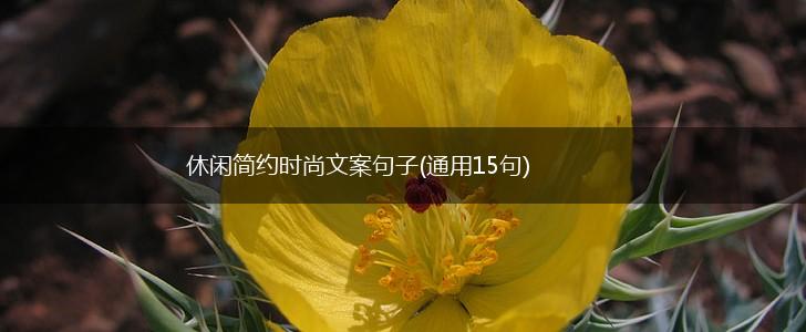 休闲简约时尚文案句子(通用15句),第1张
