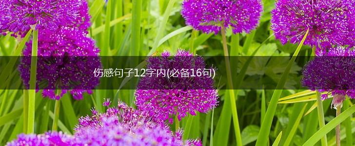 伤感句子12字内(必备16句),第1张