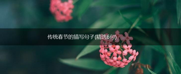 传统春节的描写句子(精选6句),第1张