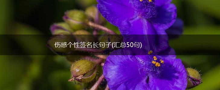 伤感个性签名长句子(汇总50句),第1张