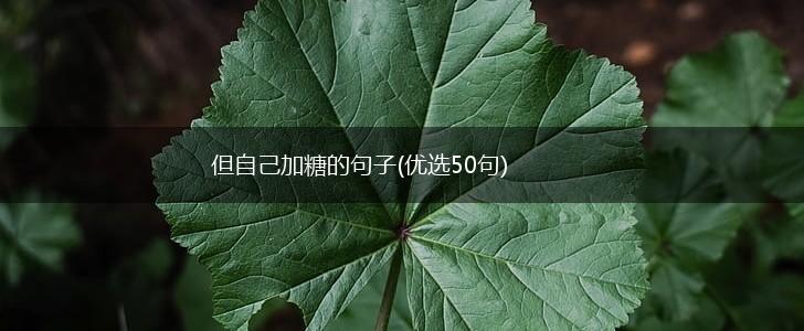 但自己加糖的句子(优选50句),第1张