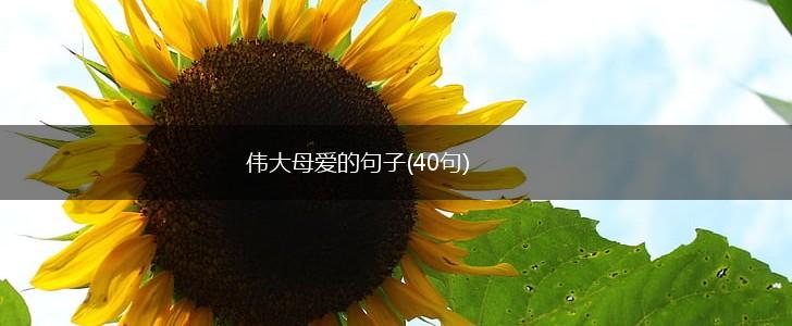 伟大母爱的句子(40句),第1张