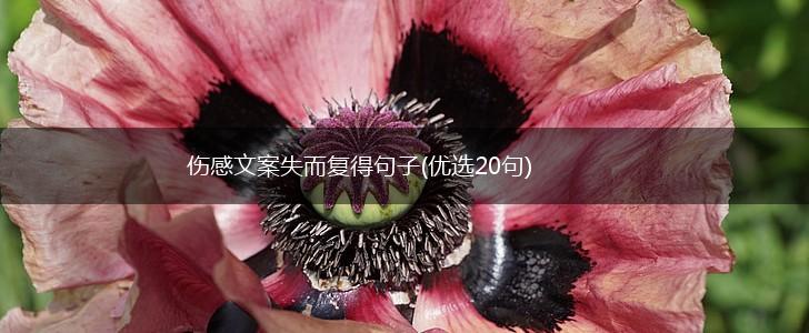 伤感文案失而复得句子(优选20句),第1张