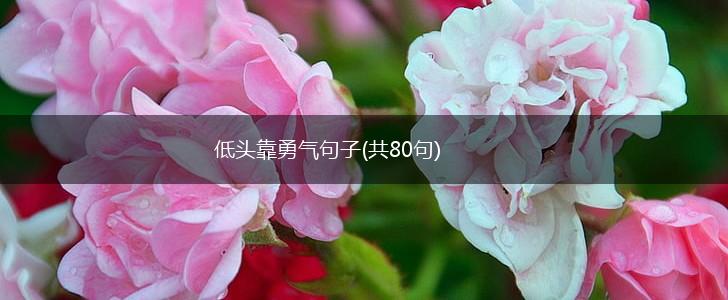 低头靠勇气句子(共80句),第1张