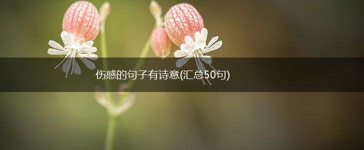 伤感的句子有诗意(汇总50句),第1张