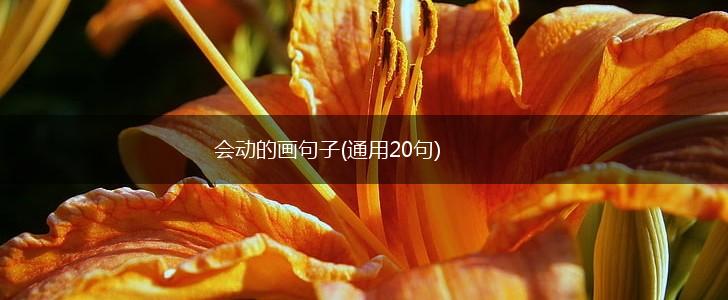 会动的画句子(通用20句),第1张