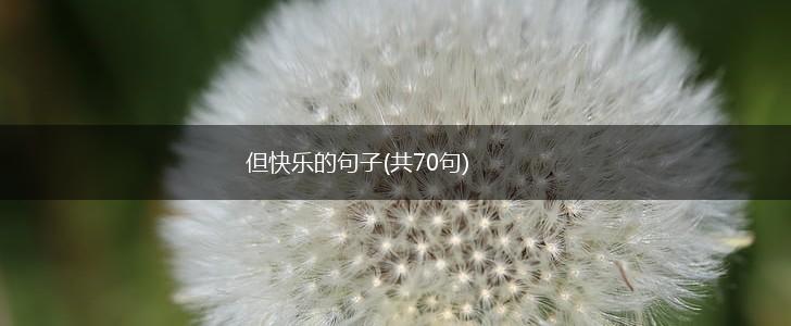但快乐的句子(共70句),第1张