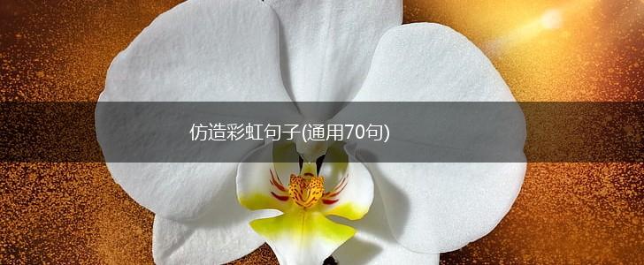 仿造彩虹句子(通用70句),第1张