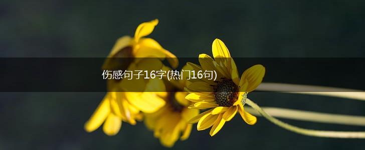 伤感句子16字(热门16句),第1张