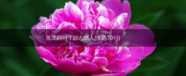 优美的句子励志感人(优选70句),第1张