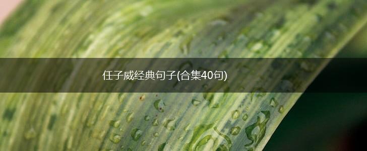 任子威经典句子(合集40句),第1张