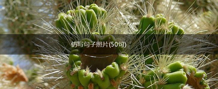 仿写句子照片(50句),第1张