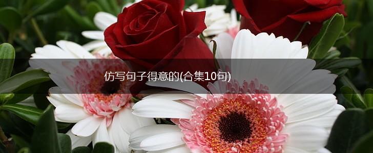 仿写句子得意的(合集10句),第1张