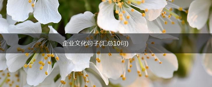 企业文化句子(汇总10句),第1张