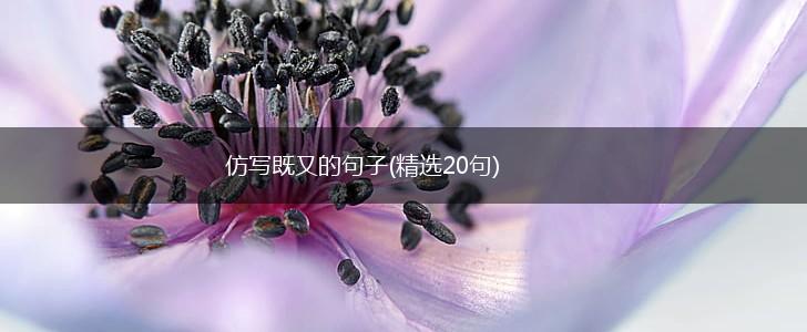 仿写既又的句子(精选20句),第1张