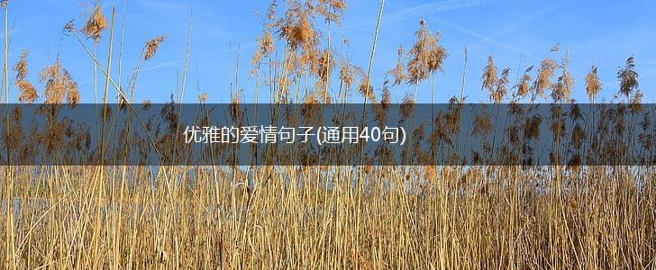 优雅的爱情句子(通用40句),第1张