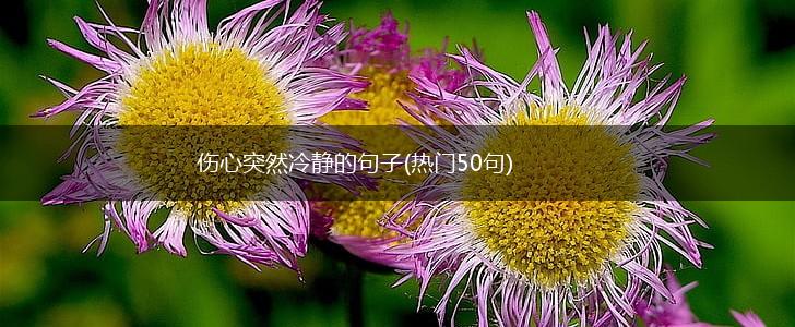 伤心突然冷静的句子(热门50句),第1张