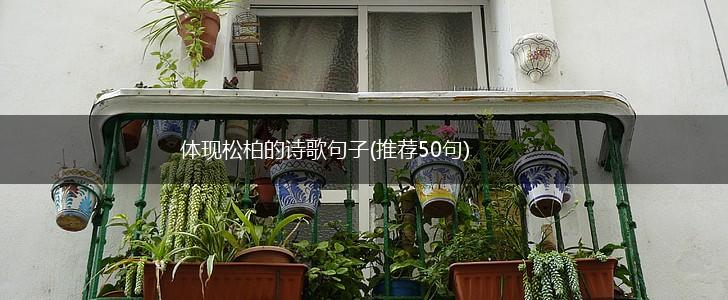 体现松柏的诗歌句子(推荐50句),第1张