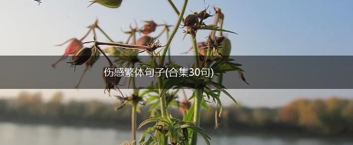 伤感繁体句子(合集30句),第1张