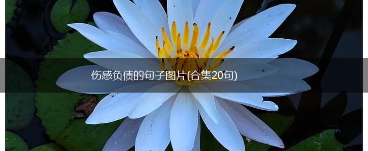 伤感负债的句子图片(合集20句),第1张