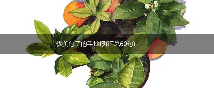 优美句子的手抄报(汇总60句),第1张