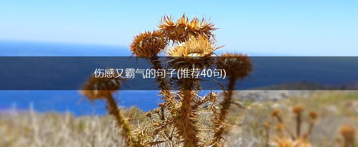 伤感又霸气的句子(推荐40句),第1张