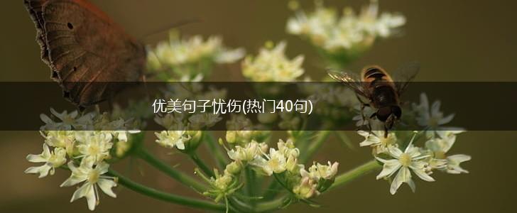 优美句子忧伤(热门40句),第1张