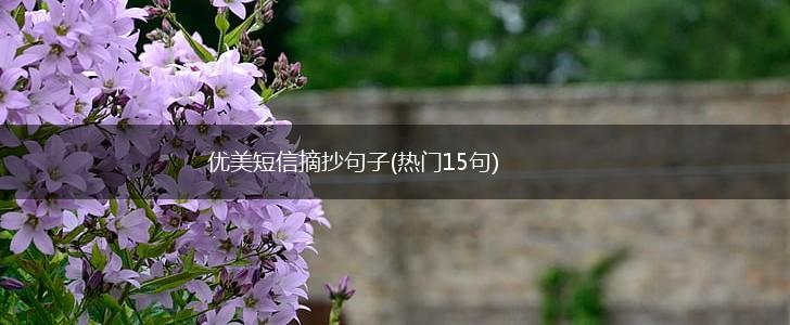 优美短信摘抄句子(热门15句),第1张