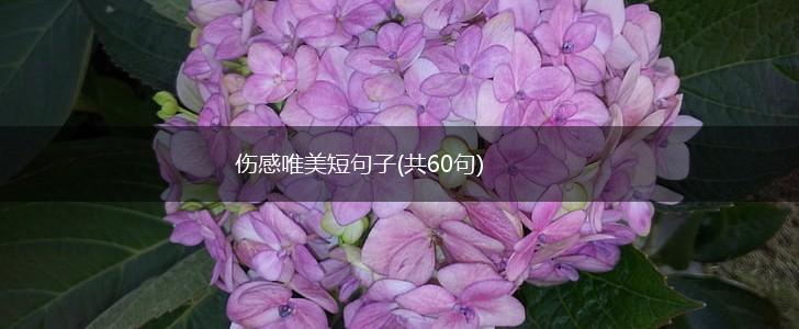 伤感唯美短句子(共60句),第1张