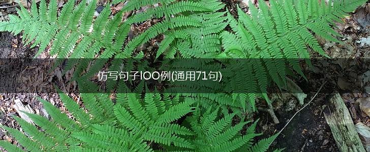 仿写句子lOO例(通用71句),第1张