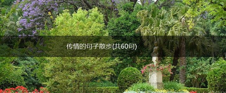 传情的句子散步(共60句),第1张