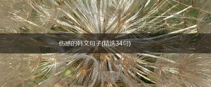 伤感的韩文句子(精选34句),第1张