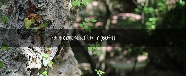 低调沉默隐忍的句子(60句),第1张