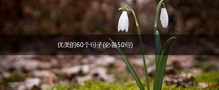 优美的60个句子(必备50句),第1张