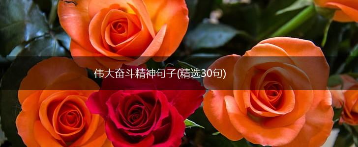 伟大奋斗精神句子(精选30句),第1张